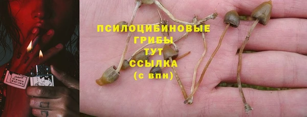 дмт Балабаново