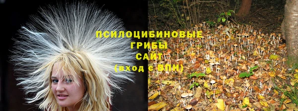 а пвп мука Баксан