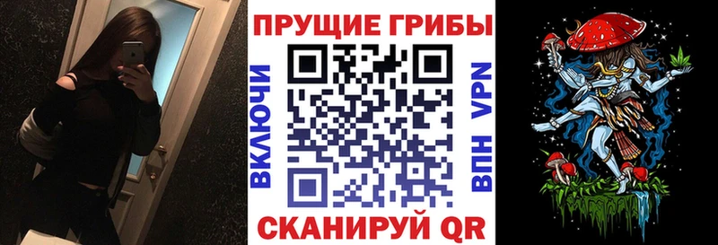 Псилоцибиновые грибы прущие грибы  купить наркотик  Кондрово 